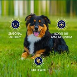 Yuma Natural Flea And Tick Chews For Dogs- Coriander, Neem. Flax Seed And Vitamins Complex For Flea And Tick Prevention For Dogs 8 Yuma Natural Flea And Tick Chews For Dogs- Coriander, Neem. Flax Seed And Vitamins Complex For Flea And Tick Prevention For Dogs -Zoo Shop 516a5WssaeL