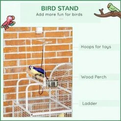 ACQUIRE 64" Bird Cage For Small To Medium Parrots, Cockatiels, Budgies, Lovebirds, With Rolling Stand -Zoo Shop 516jWaIzwEL