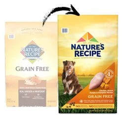 Nature′s Recipe Dry Dog Food, Grain Free Chicken, Sweet Potato & Pumpkin Recipe, 12 Lb. Bag