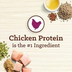 Nutro MAX Adult Recipe Dry Dog Food With Farm Raised Chicken, 12 LB Bag -Zoo Shop 5171oxHShkL