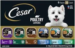 CESAR Adult Soft Wet Dog Food Steak Lovers Variety Pack With Real Meat, (36) 3.5 Oz. Trays 22 CESAR Adult Soft Wet Dog Food Steak Lovers Variety Pack With Real Meat, (36) 3.5 Oz. Trays -Zoo Shop 517BWfLQnAL. AC