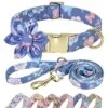 Beirui Cute Girl Dog Collar And Leash Set For Female Dogs- Floral Dog Collar With Flower For Small Medium Large Dogs Puppy, M:Neck 13-21", Leash 5FT, Purple-1 -Zoo Shop 517MPWCwqjL