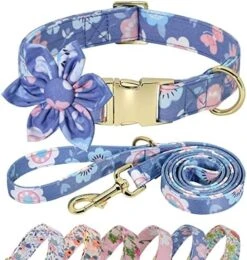 Beirui Cute Girl Dog Collar And Leash Set For Female Dogs- Floral Dog Collar With Flower For Small Medium Large Dogs Puppy, M:Neck 13-21", Leash 5FT, Purple-1 -Zoo Shop 517MPWCwqjL. AC 1