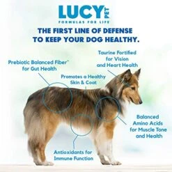 Lucy Pet Products Formulas For Life - Sensitive Stomach & Skin Dry Dog Food, All Breeds & Life Stages - Salmon, Pumpkin, & Quinoa, 12 Lb -Zoo Shop 517UsOeo2aL