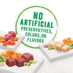 Purina Beneful High Protein, Gravy Wet Dog Food Variety Pack, Chopped Blends - (12) 10 Oz. Tubs 19 Purina Beneful High Protein, Gravy Wet Dog Food Variety Pack, Chopped Blends - (12) 10 Oz. Tubs -Zoo Shop 517cJvxCmfS