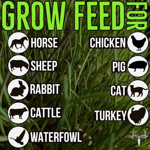 Crooked Bend Mother Fodder Blend, 8LB EcoPack, Grain Seeds For Bird Food & Growing Fresh Green Grass Sprouts To Feed Pet Rabbits, Cows, Horse, Chicken, Goat, Sheep, Quail, Dog, Cat, Duck & Tortoise 8 Crooked Bend Mother Fodder Blend, 8LB EcoPack, Grain Seeds For Bird Food & Growing Fresh Green Grass Sprouts To Feed Pet Rabbits, Cows, Horse, Chicken, Goat, Sheep, Quail, Dog, Cat, Duck & Tortoise - Image 6