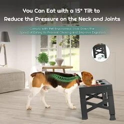 ODRIEW Elevated Dog Bowls, 5 Adjustable Heights Raised Dog Bowl Stand With 2 Stainless Steel Dog Food Bowls And 1 Slow Food Bowl, Tiltable Neck Guard For Small Medium Large Pets Dogs And Cats (Grey) 13 ODRIEW Elevated Dog Bowls, 5 Adjustable Heights Raised Dog Bowl Stand With 2 Stainless Steel Dog Food Bowls And 1 Slow Food Bowl, Tiltable Neck Guard For Small Medium Large Pets Dogs And Cats (Grey) -Zoo Shop 517nXjJcu5L