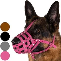 CollarDirect Dog Muzzle German Shepherd Dalmatian Doberman Setter Leather Basket Medium Large Breeds Black Brown (M, Chestnut Brown) -Zoo Shop 517z3TVAPsL. AC