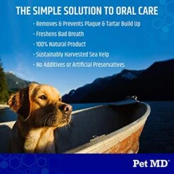 Pet MD Proden PlaqueOff Dog Teeth Cleaning Dental Care Powder - Oral Care Supplement For Dogs - Reduce Bad Breath, Tartar, & Plaque - 60g -Zoo Shop 5185GiIMAQL