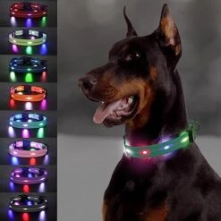 Joytale Light Up Dog Collars Rechargeable, High Visibility LED Dog Collar for Pet Night Walking, 3 Flash Modes, Rainproof PVC Glow Collar Adjustable for Small Medium Large Dogs, Teal, L -Zoo Shop 518G8WrAlZL. AC