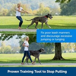 PetSafe Gentle Leader No-Pull Dog Headcollar - The Ultimate Solution To Pulling - Redirects Your Dog's Pulling For Easier Walks - Helps You Regain Control - Medium , Black -Zoo Shop 518MZwFxLCL