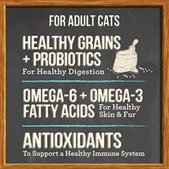 Merrick Purrfect Bistro Grain Free & Healthy Grains Dry Cat Food 12 Pound (Pack Of 1) 19 Merrick Purrfect Bistro Grain Free & Healthy Grains Dry Cat Food 12 Pound (Pack Of 1) -Zoo Shop 518WBSEIRwS