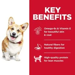 Hill's Science Diet Dry Dog Food, Adult, Small Bites, Chicken & Barley Recipe, 15 Lb. Bag -Zoo Shop 518c4BeBogL