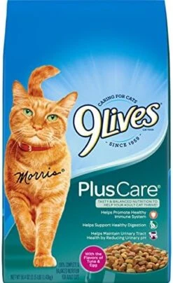 9Lives Indoor Complete Cat Food, 20 Pound Bag -Zoo Shop 518cpFPU72L. AC
