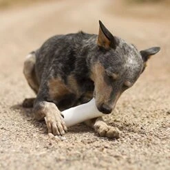 Pawstruck Filled Dog Bones Pet Food (Flavors: Beef, Cheese And Bacon, Peanut Butter,etc) Made In USA Stuffed Bulk 3 To 6" Femur Dog Dental Treat & Chew, (Variety Pack, Large (5-6")), 2.46 Pounds -Zoo Shop 5191XwGGiEL