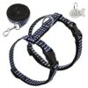 Kuntrona Nylon Cat Harness And Leash Set Customized Cats Kitten Harnesses With Id Tag Anti Lost Name Tag Blue S -Zoo Shop 5193IZe8MEL