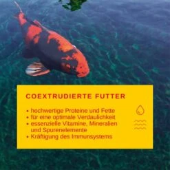 Sera 7018 KOI Professional Summer 15.4 Lb 7 Kg Pet Food, One Size -Zoo Shop 5196iSLxaAL