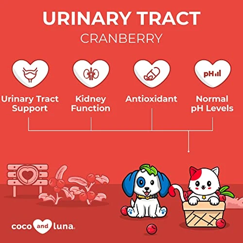 Cranberry For Dogs And Cats - Urinary Tract Support, Cat UTI, Bladder Support, Dog UTI, Bladder Stones And Incontinence Support 4 Cranberry For Dogs And Cats - Urinary Tract Support, Cat UTI, Bladder Support, Dog UTI, Bladder Stones And Incontinence Support - Image 2