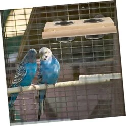 EVANEM 2pcs Bird Toy Bird Accessories Hamster Accessories Hanging Parrot Bowl Bird Cage Plastic Cup Water Bird Cup Parrot Water Cup Pet Feeder Parrot Food Cups To Feed Water Cup Wood 16 EVANEM 2pcs Bird Toy Bird Accessories Hamster Accessories Hanging Parrot Bowl Bird Cage Plastic Cup Water Bird Cup Parrot Water Cup Pet Feeder Parrot Food Cups To Feed Water Cup Wood -Zoo Shop 519BKmdxlpL