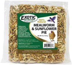 Exotic Nutrition Mealworm & Sunflower Pie - Healthy Natural Suet Basket Feeder Treat - For Backyard Chickens And Wild Birds -Zoo Shop 519C1tsU25L. AC