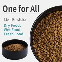 Addogyy Black Elevated/Raised Dog Bowl Ceramic With Wood Stand For Medium Large Breed,Dog Food Water Dish Heavy Wighted, Non Slip Modern Cute Porcelain Pet Bowl Extra Large -Zoo Shop 519KlCSF7TL