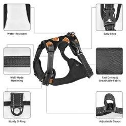 Dog Harness Leash Set Durable Oxford Breathable Reflective Puppy Harness Vest Spaghetti Italian Food For Walking Training Running, No Pull No Choke Pet Dog Harness -Zoo Shop 519MOKkehJL