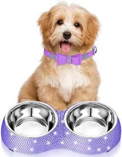 Gerrii 2 Pcs Pink Dog Cat Bowls And Small Puppy Collar Set For Cat And Dog, Pink Bling Cat Collars Rhinestones Stainless Steel Puppy Bowls Adjustable Bling Dog Collar (Light Purple, XS) 15 Gerrii 2 Pcs Pink Dog Cat Bowls And Small Puppy Collar Set For Cat And Dog, Pink Bling Cat Collars Rhinestones Stainless Steel Puppy Bowls Adjustable Bling Dog Collar (Light Purple, XS) -Zoo Shop 519QBBJEW4L. AC