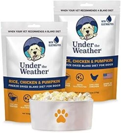 Under The Weather Easy To Digest Bland Diet For Sick Dogs - Contains Electrolytes - Gluten Free, All Natural, Freeze Dried 100% Human Grade Meats - Rice, Chicken & Pumpkin -Zoo Shop 519bLGQD9nL. AC