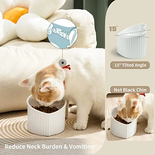 Raised Ceramic Tilted Cat Bowls, Heart Shape Elevated Cat Food Bowl, Porcelain Slanted Pet Feeder Dish For Flat Faced Cats, Protect Cat's Spine, Stress Free, Backflow Prevention,2 Pack(White) 4 Raised Ceramic Tilted Cat Bowls, Heart Shape Elevated Cat Food Bowl, Porcelain Slanted Pet Feeder Dish For Flat Faced Cats, Protect Cat's Spine, Stress Free, Backflow Prevention,2 Pack(White) - Image 2
