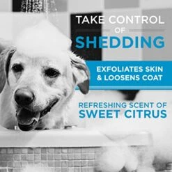 TropiClean Perfect Fur Dog Shampoo For Shedding Control For All Breeds With A Short Double Coat, 16 Ounce -Zoo Shop 51A3qLW3PmL