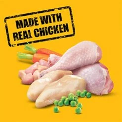 Pedigree High Protein Adult Dry Dog Food Chicken And Turkey Flavor Dog Kibble, 18 Lb. Bag -Zoo Shop 51A6gFSKD5L