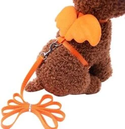 XxiaoTHAWxe Pet Leash Traction Rope, Cute Solid Color Mini Wings Nylon Pet Harness Chest Strap Dog Cat Lead Leash For Walking Training Running - Coffee XS -Zoo Shop 51A7ahJF80L. AC