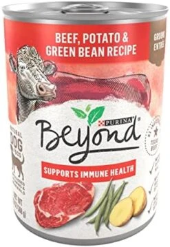 Purina Beyond Cod, Salmon And Sweet Potato Natural Ground Grain Free Wet Dog Food Pate - (12) 13 Oz. Cans -Zoo Shop 51A9SThY21L. AC