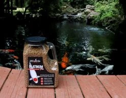 Blue Ridge Fish Food [4.5lb], Platinum Professional Formula 3/16" Floating Pellet, Koi And Goldfish -Zoo Shop 51AKTFoXvNL