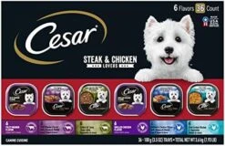 CESAR Adult Soft Wet Dog Food Steak Lovers Variety Pack With Real Meat, (36) 3.5 Oz. Trays 23 CESAR Adult Soft Wet Dog Food Steak Lovers Variety Pack With Real Meat, (36) 3.5 Oz. Trays -Zoo Shop 51AKc5ZTCDL. AC