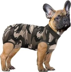 Recovery Suit For Male Dogs Neutered - Recovery Shirt For Male Female Dog Cats Light Incontinence Surgery Suit For Dogs - Recovery Suits For Female Dogs After Surgery -Vu01,Bluestripe-S -Zoo Shop 51AYNe5s8 L. AC
