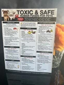 TLC Safety By Design Premium 8.5” X 11” Magnet Toxic Harmful And Safe Foods For Pets Fridge Safety Dogs Cats Poison Emergency Large Format Veterinarian Approved (Quantity 1) -Zoo Shop 51AkbxH9OXL