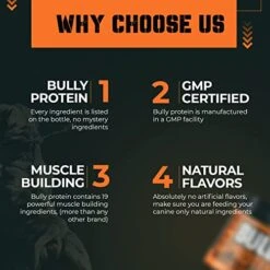 MBF SUPPLEMENTS Bully Protein & Vitamins For Dogs With Toy, 238mg Growth & Mass Gainer Supplement, 30 Days Supply Muscle Up Max For Pitbull, Bully And Bulldog -Zoo Shop 51AooltvwDL