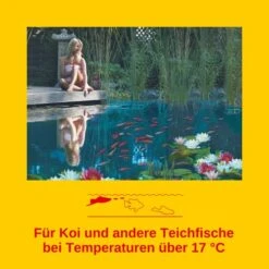 Sera 7018 KOI Professional Summer 15.4 Lb 7 Kg Pet Food, One Size -Zoo Shop 51AxKuchXmL