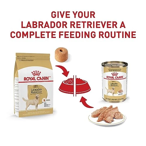 Royal Canin Labrador Retriever Adult Dry Dog Food, 30 Lb Bag 7 Royal Canin Labrador Retriever Adult Dry Dog Food, 30 Lb Bag - Image 5