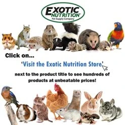 Exotic Nutrition Bee-Tastic - Healthy All-Natural Chicken Treat - Dried Insects, Flowers, Herbs Wheat Berries & Bee Pollen - Promotes Healthy Chickens & Eggs (1.5 Lbs) 13 Exotic Nutrition Bee-Tastic - Healthy All-Natural Chicken Treat - Dried Insects, Flowers, Herbs Wheat Berries & Bee Pollen - Promotes Healthy Chickens & Eggs (1.5 Lbs) -Zoo Shop 51BGCQUVqVL