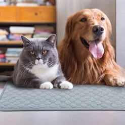 SONGBIRDTH 2Pcs Dog Training Pads Washable Waterproof Dog Pad, Reusable Travel Mats With Anti-Slip Bottom For Puppies Cats Rabbits Khaki M -Zoo Shop 51BGMr30PHS