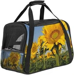 Pet Carrier Tasty Food Soft-Sided Pet Travel Carriers For Cats,Dogs Puppy Comfort Portable Foldable Pet Bag Airline Approved -Zoo Shop 51BMkyPlurS. AC