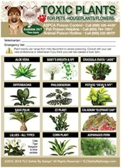 TLC Safety By Design Enhanced Toxic Plants Flowers TRADEMARKED Poison For Pets Dogs Cats Emergency Home Alone 5” X 7” Veterinarian Approved Refrigerator Safety Magnet (Qty. 1 From TLC) -Zoo Shop 51BSrcvZNL. AC 4