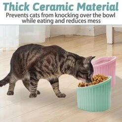 Kathson 2 Pack Ceramic Elevated Cat Bowls Tilted Raised Cat Food Bowls Anti Vomit Cat Bowls For Indoor Cats Elevated Porcelain Pet Feeder Dish Stress Free Cat Water Bowl For Cats Kitty Puppy -Zoo Shop 51BUUxPczAL