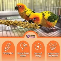 Birds LOVE Wholesome & Lovely Spray Millet Non-GMO No Pesticide (No Stems Only Edible Tops) For Parrots Birds Cockatiel Lovebird Keets Finch Canary All Parrots Healthy Treat-5lbs… -Zoo Shop 51Bcl49rMiL