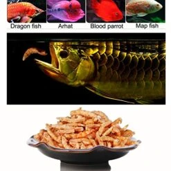 JackSuper 3000ml Fish Food Aquarium Pond Fish Food Arowana Food Floating Shrimp Freeze Dried Krill Carnivore Koi Tropical Cichlid Turtle (3000ml) 10 JackSuper 3000ml Fish Food Aquarium Pond Fish Food Arowana Food Floating Shrimp Freeze Dried Krill Carnivore Koi Tropical Cichlid Turtle (3000ml) -Zoo Shop 51BoDss4hBL