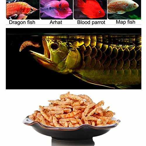 JackSuper 3000ml Fish Food Aquarium Pond Fish Food Arowana Food Floating Shrimp Freeze Dried Krill Carnivore Koi Tropical Cichlid Turtle (3000ml) 4 JackSuper 3000ml Fish Food Aquarium Pond Fish Food Arowana Food Floating Shrimp Freeze Dried Krill Carnivore Koi Tropical Cichlid Turtle (3000ml) - Image 2
