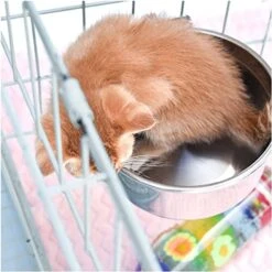 Balacoo Bird Cage Accessories Parrot Feeding Cups- Stainless Steel Bird Feeding Dish Cups- Bird Feeder Parrot Food Water Bowls With Clamp- Bird Water Feeder Dishes Bird Bowl For Cage Coop Cups (S) -Zoo Shop 51C45FZnayL