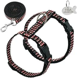 Kuntrona Nylon Cat Harness And Leash Set Customized Cats Kitten Harnesses With Id Tag Anti Lost Name Tag Blue S -Zoo Shop 51C564M4ZwL. AC